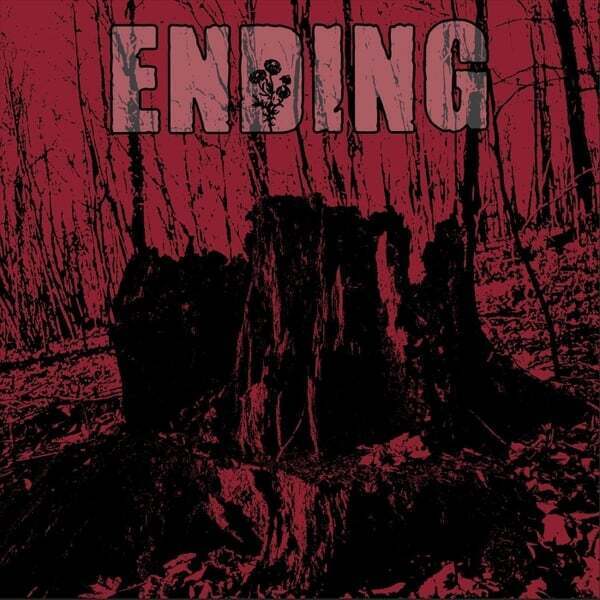 Cover art for Ending
